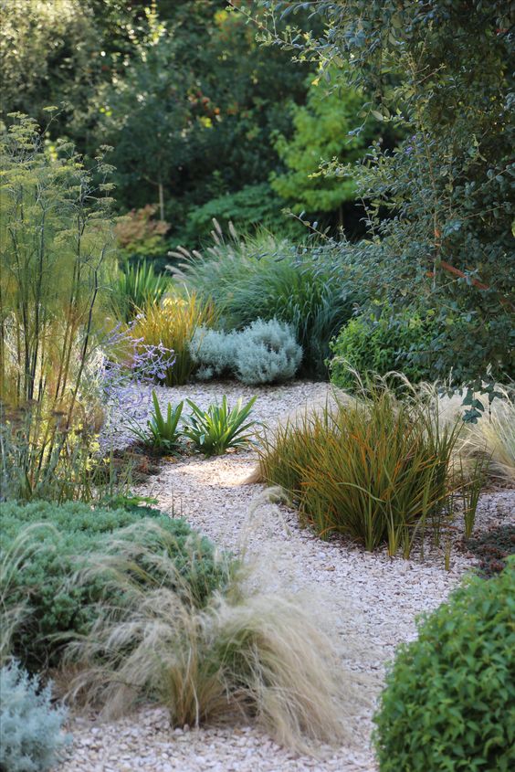 Dry Garden